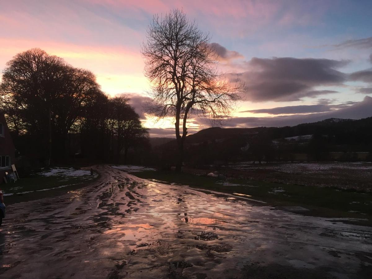 Beautiful Highland 1-Bed Cottage Inverness Buitenkant foto